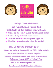 Load image into Gallery viewer, Happy Hedgehog Fun Pack/ Cute Hedgehog Themed Gifts/ Best Gifts For Tween Girls./Hedgehog Accessories for girls/ best gifts for girls/hedgehog lovers/ hedgehog gift/ chicanduniquepack.com.jpg
